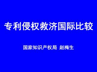 专利侵权救济国际比较