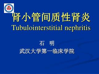 肾小管间质性肾炎 Tubulointerstitial nephritis
