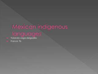 Mexican indigenous languages