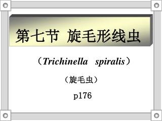 第七节 旋毛形线虫