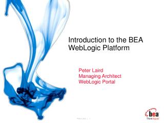 Introduction to the BEA WebLogic Platform