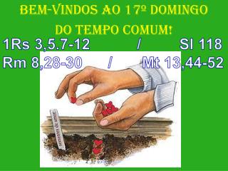 BEM-VINDOS AO 17º DOMINGO DO TEMPO COMUM!