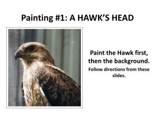 Painting #1: A HAWK’S HEAD