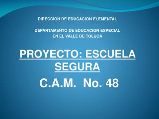 DIRECCION DE EDUCACION ELEMENTAL DEPARTAMENTO DE EDUCACION ESPECIAL EN EL VALLE DE TOLUCA