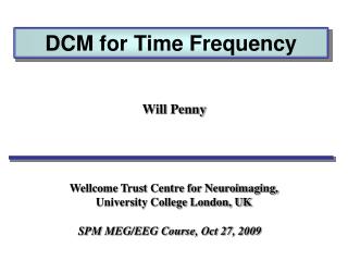 DCM for Time Frequency