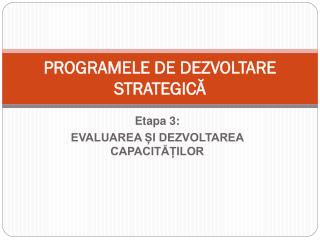 PROGRAMELE DE DEZVOLTARE STRATEGICĂ