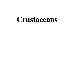 Crustaceans