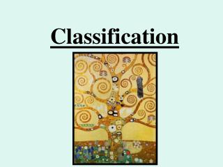 Classification