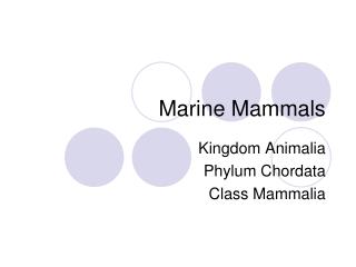 Marine Mammals