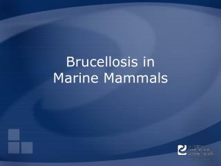Brucellosis in Marine Mammals