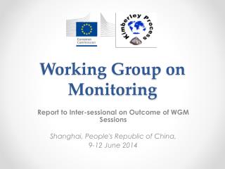Working Group on Monitoring