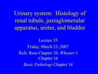 bladder urinary presentation tubule juxtaglomerular renal histology apparatus ureter system powerpoint ppt