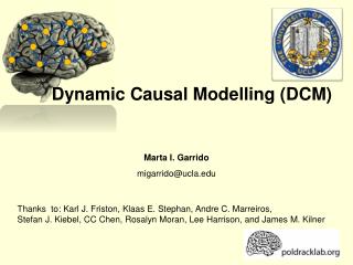 Dynamic Causal Modelling (DCM)