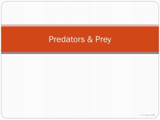Predators &amp; Prey