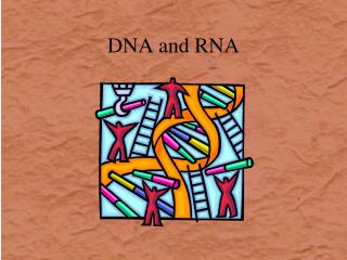 DNA and RNA