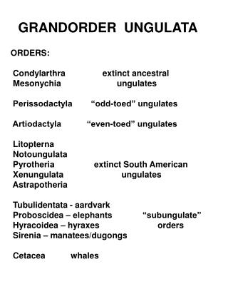 GRANDORDER UNGULATA ORDERS: Condylarthra extinct ancestral