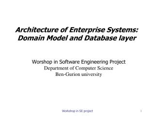 Architecture of Enterprise Systems: Domain Model and Database layer