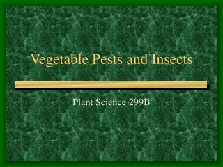 Vegetable Pests and Insects
