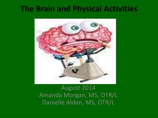 The Brain and Physical Activities