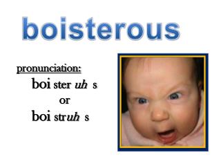 pronunciation: boi ster uh s or boi str uh s