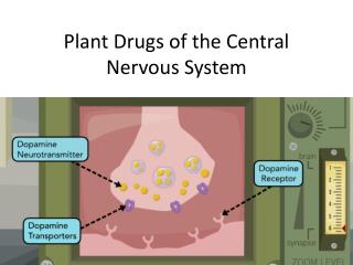 Plant Drugs of the Central Nervous System
