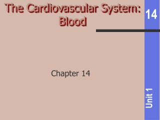 The Cardiovascular System: Blood