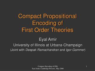 Compact Propositional Encoding of First Order Theories