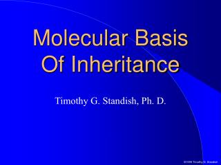 Molecular Basis Of Inheritance