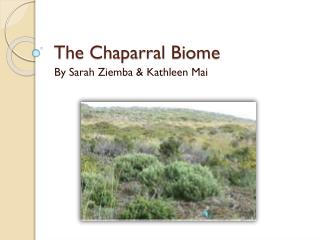 The Chaparral Biome