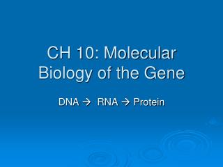 CH 10: Molecular Biology of the Gene
