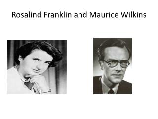 Rosalind Franklin and Maurice Wilkins