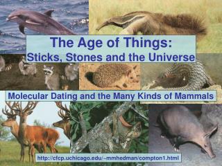 The Age of Things: Sticks, Stones and the Universe