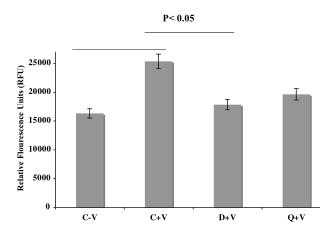 Relative Flourescence Units (RFU)