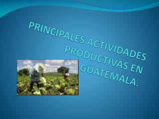 PRINCIPALES ACTIVIDADES PRODUCTIVAS EN GUATEMALA.