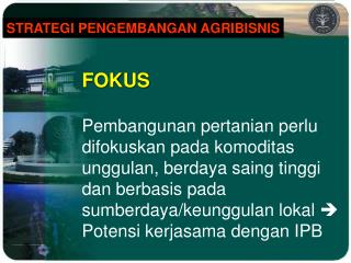 FOKUS