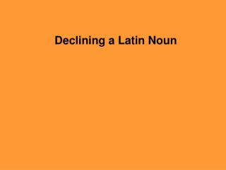 Declining a Latin Noun