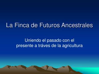 La Finca de Futuros Ancestrales