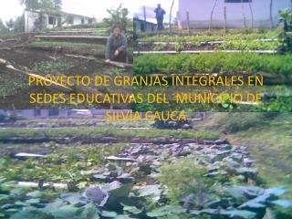 PROYECTO DE GRANJAS INTEGRALES EN SEDES EDUCATIVAS DEL MUNICIPIO DE SILVIA CAUCA