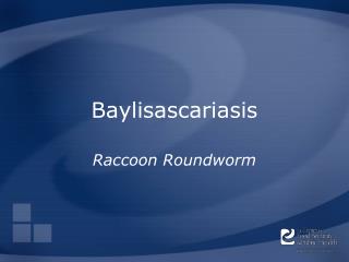 Baylisascariasis