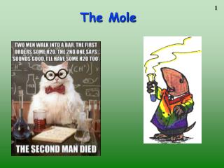 The Mole