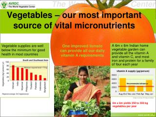 Vegetables – our most important source of vital micronutrients