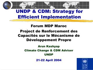 UNDP &amp; CDM: Strategy for Efficient Implementation