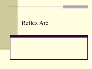 Reflex Arc