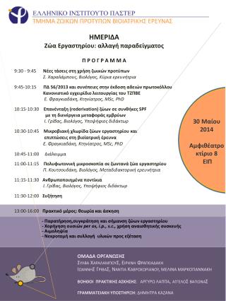 ΟΜΑΔΑ ΟΡΓΑΝΩΣΗΣ Συλβα ΧαραλαμπουΣ, Ειρηνη Φραγκιαδακη