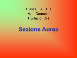 Classe II A I.T.C Guarasci Rogliano ( C s)