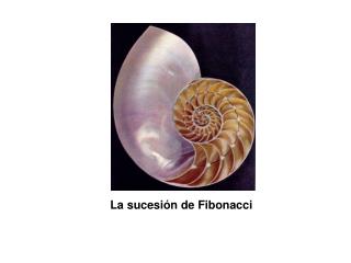 La sucesión de Fibonacci