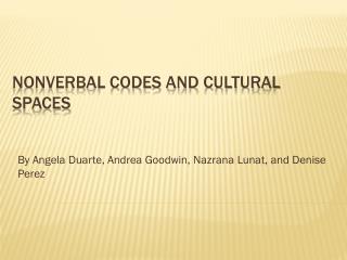 Nonverbal codes and cultural spaces