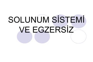 SOLUNUM SİSTEMİ VE EGZERSİZ