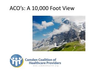 ACO ’ s: A 10,000 Foot View