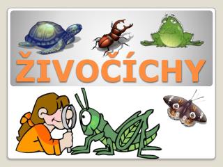 ŽIVOČÍCHY